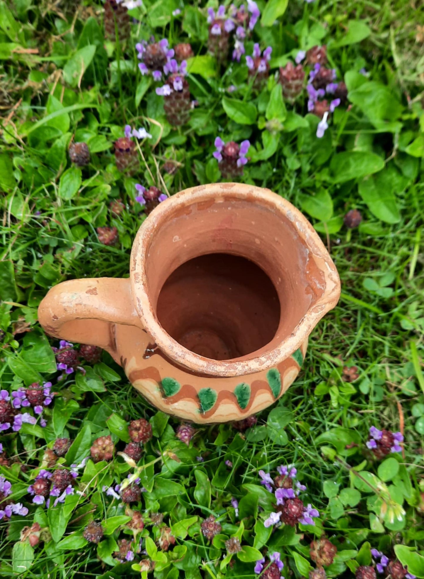 Belgisk liten mugge #4#