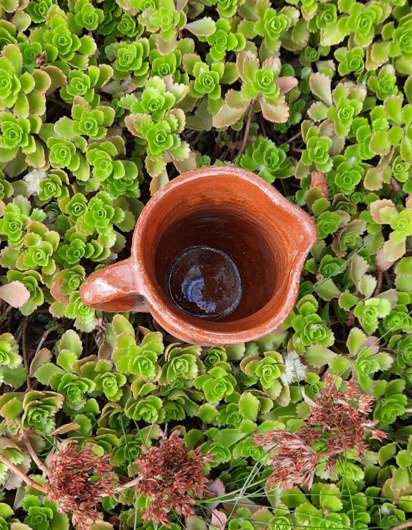 Nydelig liten vintage mugge/krukke fra Belgia.